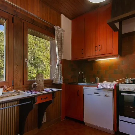 Dava La Via In - Out - Happy בקתה *